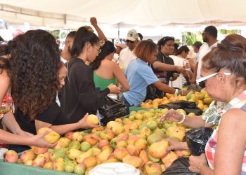 Expo Mango 2026 consolida su impacto en negocios, ventas, cultura y proyección internacional