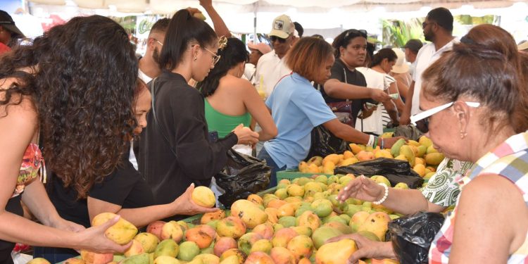 Expo Mango 2026 consolida su impacto en negocios, ventas, cultura y proyección internacional