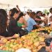 Expo Mango 2026 consolida su impacto en negocios, ventas, cultura y proyección internacional