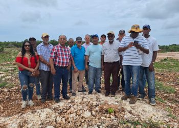 CDP y propietarios de terrenos denuncian invasión de propiedades en Boca Chica