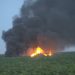 Avión de combate se estrella en el estado de Washington y provoca un incendio forestal