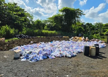 Inacif destruye más de 3,700 kilos de drogas incautadas en operativos contra el narcotráfico