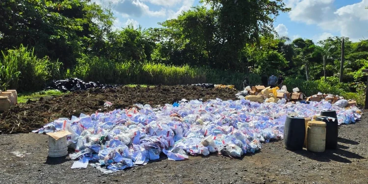 Inacif destruye más de 3,700 kilos de drogas incautadas en operativos contra el narcotráfico