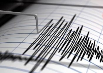 Terremoto de 7.1 sacude varias regiones de Venezuela; hay alerta de tsunami para Aruba, Curazao y Bonaire