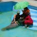 Especialistas del Acuario Nacional comparten en Costa Rica la experiencia dominicana en la conservación del manatí antillano