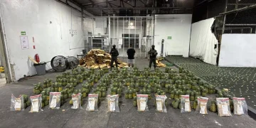 Interceptan cargamento de piñas con presunta cocaína