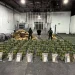 Interceptan cargamento de piñas con presunta cocaína