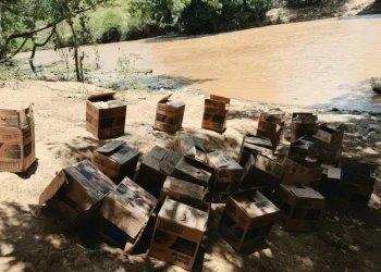 Ejército incauta cargamento de aceite de motor introducido de contrabando desde Haití por Pedro Santana