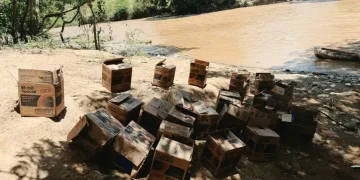 Ejército incauta cargamento de aceite de motor introducido de contrabando desde Haití por Pedro Santana
