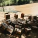 Ejército incauta cargamento de aceite de motor introducido de contrabando desde Haití por Pedro Santana