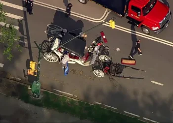 Muere joven de 18 años tras un accidente en un carruaje de caballos en Nueva York
