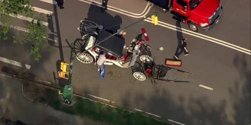 Muere joven de 18 años tras un accidente en un carruaje de caballos en Nueva York