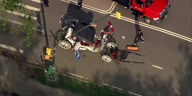 Muere joven de 18 años tras un accidente en un carruaje de caballos en Nueva York