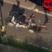 Muere joven de 18 años tras un accidente en un carruaje de caballos en Nueva York