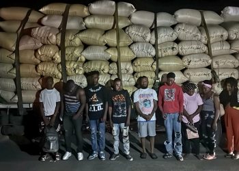 Ejército descubre a 10 haitianos ocultos entre sacos de arroz durante operativo en Montecristi