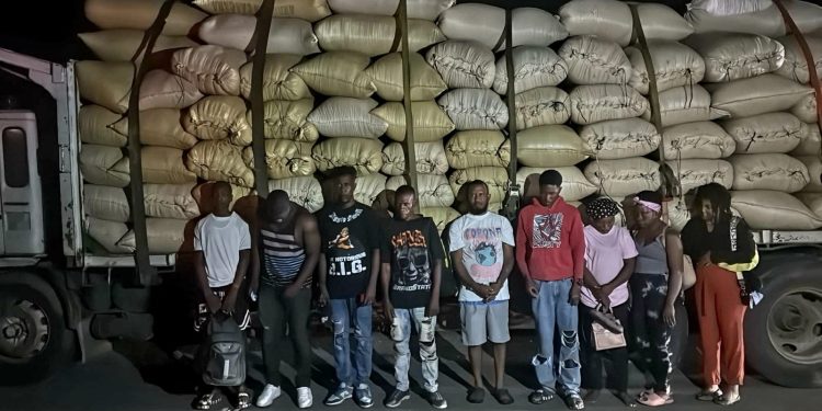 Ejército descubre a 10 haitianos ocultos entre sacos de arroz durante operativo en Montecristi