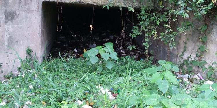 Comunitarios de Quita Sueño exigen al presidente el saneamiento de la cañada del Túnel