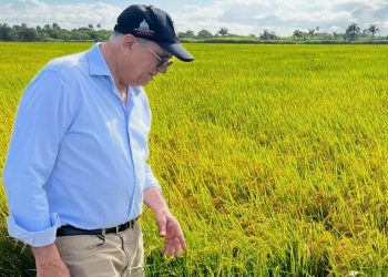 Director Siembra RD, agrónomo felicita al presidente Abinader por los avances en la erradicación del hambre en RD
