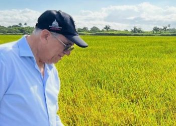 Director Siembra RD felicita al presidente Abinader por los avances en la erradicación del hambre en RD