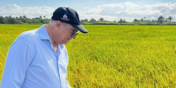 Director Siembra RD felicita al presidente Abinader por los avances en la erradicación del hambre en RD