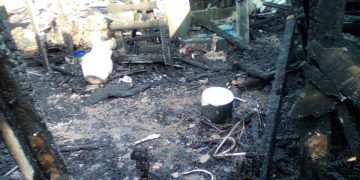Incendio en Cambita SC deja una víctima mortal y familias sin hogar 