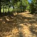 Agricultura interviene más de 300 kilómetros de caminos rurales para fortalecer la producción agropecuaria