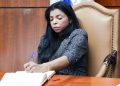 Yeni Berenice: "Que el Código Penal no entre en vigencia solo favorece a la criminalidad”