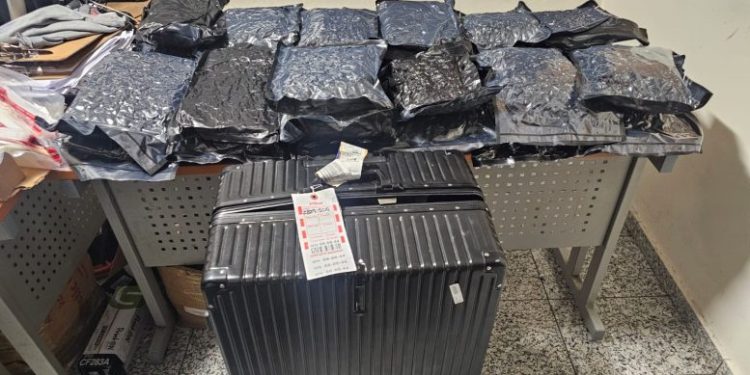 Autoridades interceptan en el AILA maleta con 25 paquetes de presunta marihuana