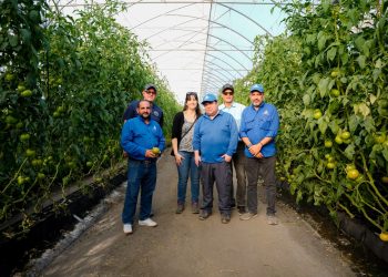 RD comparte experiencia con Chile en producción agrícola bajo ambiente protegido