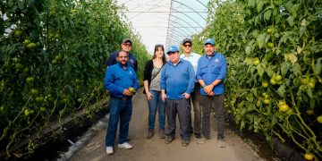 RD comparte experiencia con Chile en producción agrícola bajo ambiente protegido