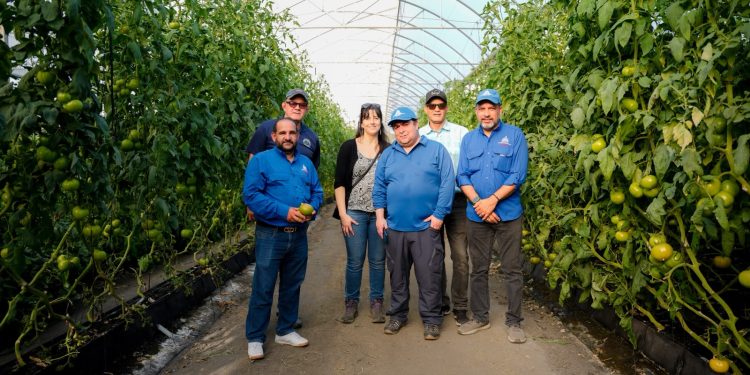 RD comparte experiencia con Chile en producción agrícola bajo ambiente protegido
