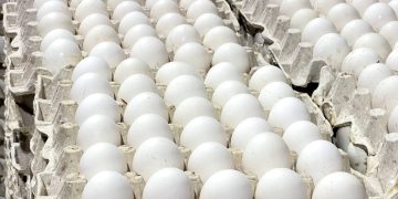 La República Dominicana reanuda las exportaciones de huevos a Cuba con envío de más de 3.9 millones de unidades