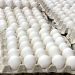La República Dominicana reanuda las exportaciones de huevos a Cuba con envío de más de 3.9 millones de unidades