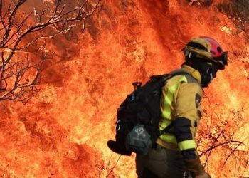 Casi 270.000 evacuados por los incendios que arrasan España y Francia