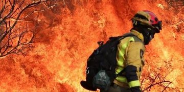 Casi 270.000 evacuados por los incendios que arrasan España y Francia