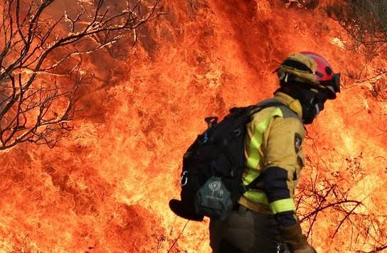 Casi 270.000 evacuados por los incendios que arrasan España y Francia