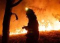 Tres países europeo envían auxilio para combatir los incendios en España