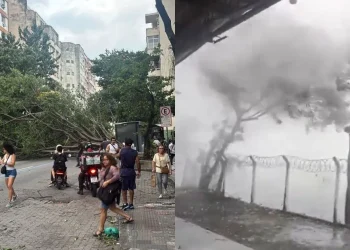 Caos en Brasil: temporales con vientos de más 100 km/h dejan cinco muertos, estragos y apagones en Río de Janeiro y San Pablo