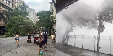Caos en Brasil: temporales con vientos de más 100 km/h dejan cinco muertos, estragos y apagones en Río de Janeiro y San Pablo