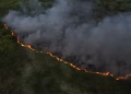 Incendio forestal afecta área de vegetación en la Laguna Mallén de San Pedro de Macorís