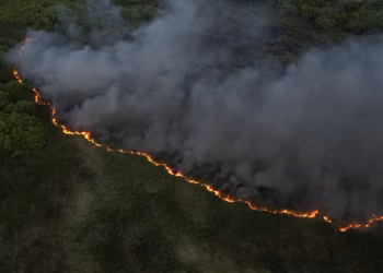 Incendio forestal afecta área de vegetación en la Laguna Mallén de San Pedro de Macorís