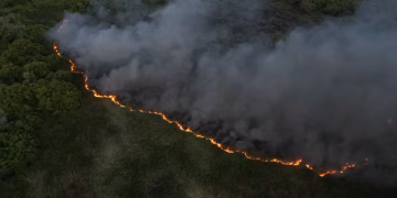 Incendio forestal afecta área de vegetación en la Laguna Mallén de San Pedro de Macorís