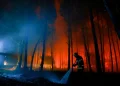 Decenas de heridos y miles de evacuados en Europa a causa de los incendios