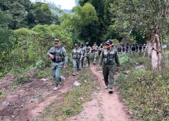 SENPA detiene cientos de personas y recupera miles de tareas ,parques nacionales y áreas protegidas 