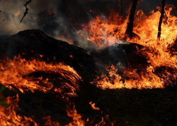 Olas de calor costarán 15.000 millones a Francia este año
