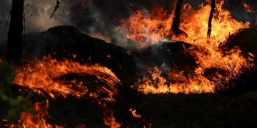 Olas de calor costarán 15.000 millones a Francia este año