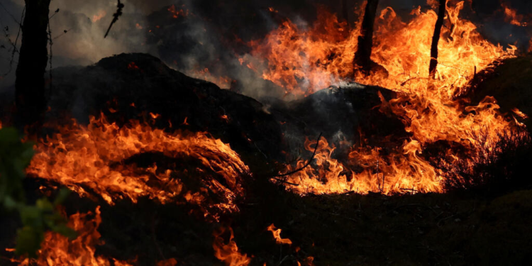 Olas de calor costarán 15.000 millones a Francia este año