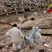 Sismo de magnitud 4 se siente en zona afectada por doble terremoto en Venezuela