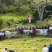 Reforestación para la vida: Ministerio de Defensa impulsa la recuperación ambiental en Manabao