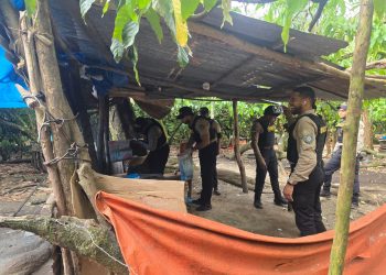 Intensifican operativos contra el microtráfico en los municipios SFM y Pimentel